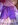 Short violet foncé  13 pièces & Robe violette 1