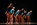 Rencontres Chorégraphiques de la Fédération Française de Danse 2013 5